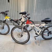 2 Mountain bike Esperia come nuove.
