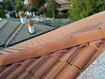 tegole colmo per coppi