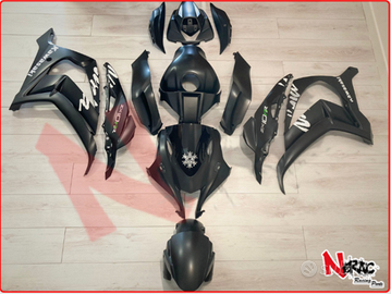 Kit Carena Kawasaki Ninja ZX-10 R Winter 16/20