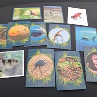 12 figurine animali Panini 