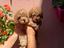 Immagine 2