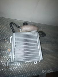 Radiatore aerox
