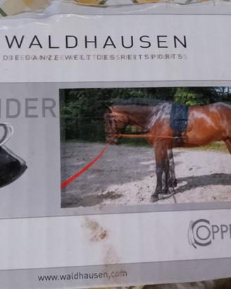 Equibender per cavallo