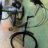 Triciclo con cestino per adulti