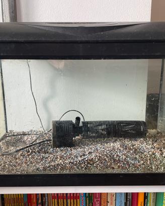 Acquario 60 litri