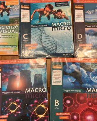 Macro Micro