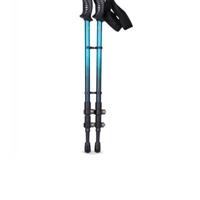 Bastoncini trekking Ferrino