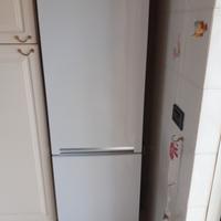 frigo