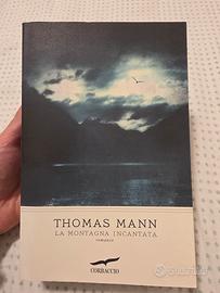 La Montagna incantata - Thomas Mann