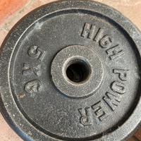 Dischi ghisa + portadischi