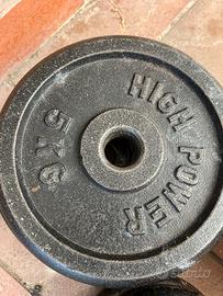 Dischi ghisa + portadischi