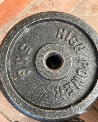 Dischi ghisa + portadischi