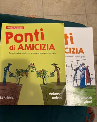 9788835046950 Ponti di amicizia
