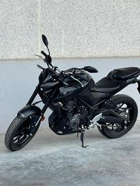 Mt 03 2025