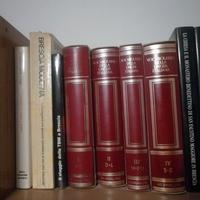 Treccani – Vocabolario della Lingua Italiana