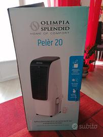 Raffrescatore mobile per casa