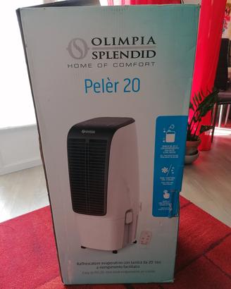 Raffrescatore mobile per casa