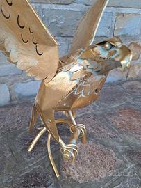 Aquila reale