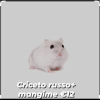 Criceto russo o roboroski + mangime