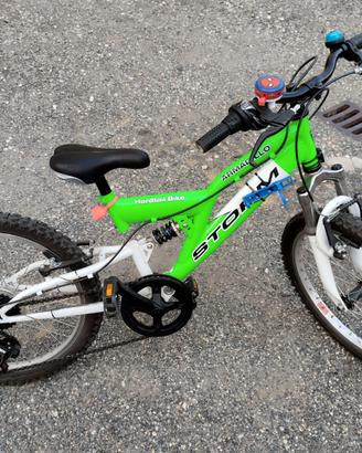 Bici MTB 20 pollici