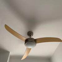 Ventilatore a pale per soffitto
