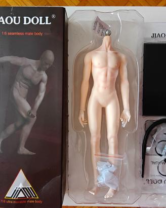 1/6 Jiaou Doll A17 pale WS, corpo maschile seamles
