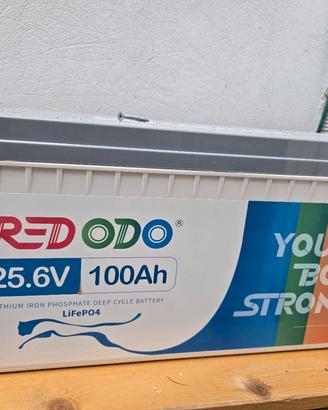 batteria accumulo redodo