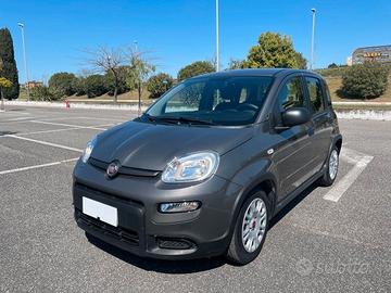 FIAT PANDA 1.0 Hybrid  FIREFLY S&S  km 25.600