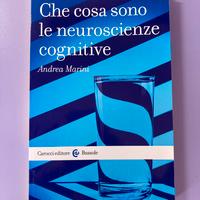 Che cosa sono le neuroscienze cognitive