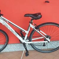 Bici adulto Carraro