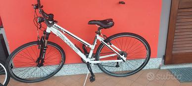 Bici adulto Carraro