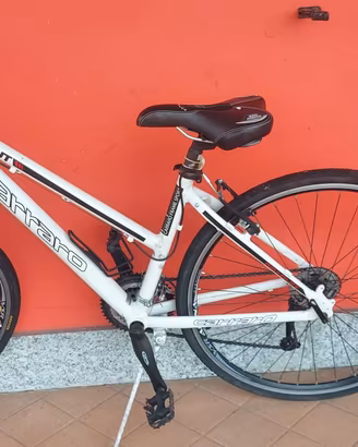 Bici adulto Carraro