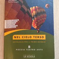 Libro NEL CIELO TERSO. vol B. Cod. 9788835049395