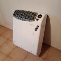 Robur
