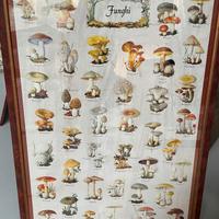 Quadri (cornici con stampa)