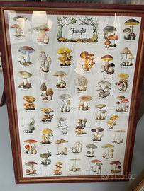 Quadri (cornici con stampa)