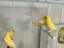 Immagine 4