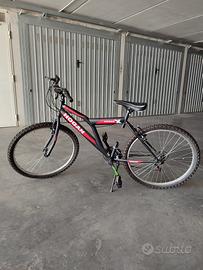 Montain bike hogan