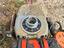 Immagine 4