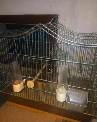 Gabbia per uccellini completa di accessori 