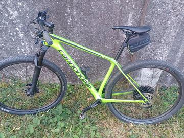 bici mtb