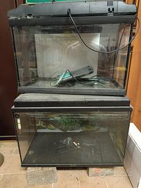 acquario 40 litri e 50 litri