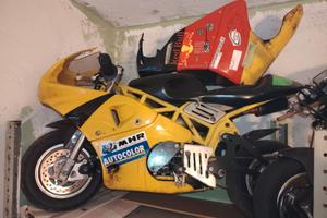 2 minimoto grc dm motore polini