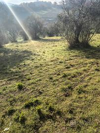 Terreno Residenziale Terni [Cod. rif 3320300VRG]