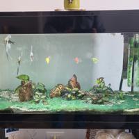 Acquario PURE XL LED + Mobiletto Originale