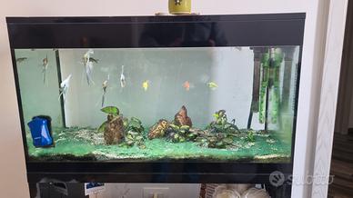 Acquario PURE XL LED + Mobiletto Originale