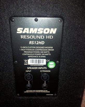 Samson resound rs12