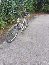 MTB Esperia