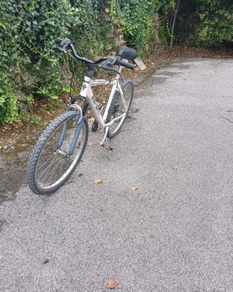 MTB Esperia