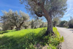 TER. RESIDENZIALE A LUZZI